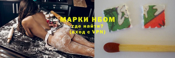 стаф Алексин