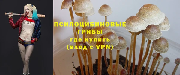 круглые Алексеевка
