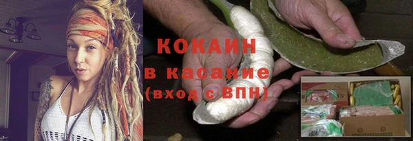 стаф Алексин