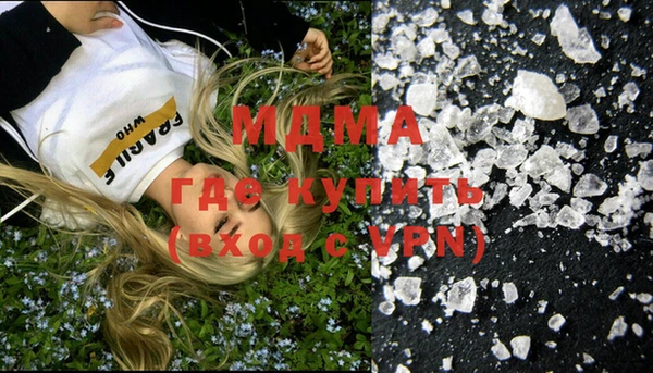 стаф Алексин