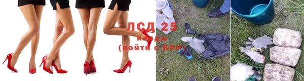 стаф Алексин