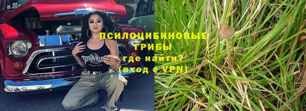 бутират Алзамай