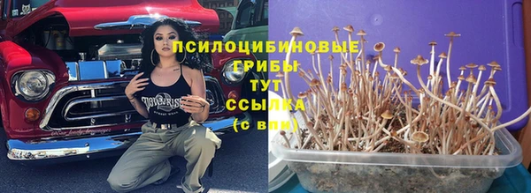 круглые Алексеевка
