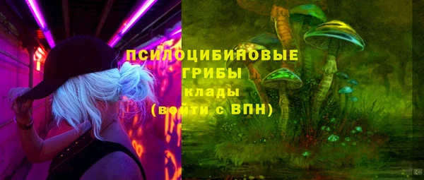 стаф Алексин